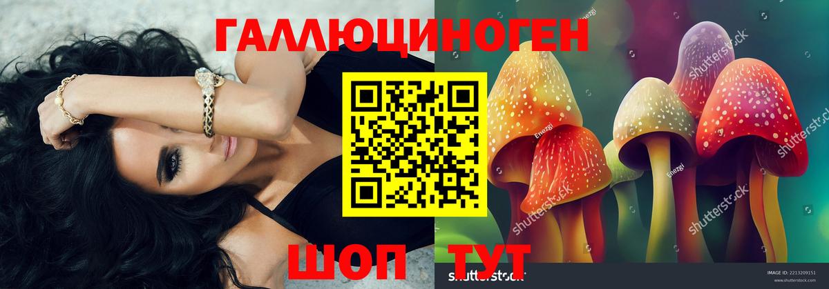 Галлюциногенные грибы Psilocybine cubensis  Вход с VPN  Галлюциногенные грибы мухоморы  Унеча 